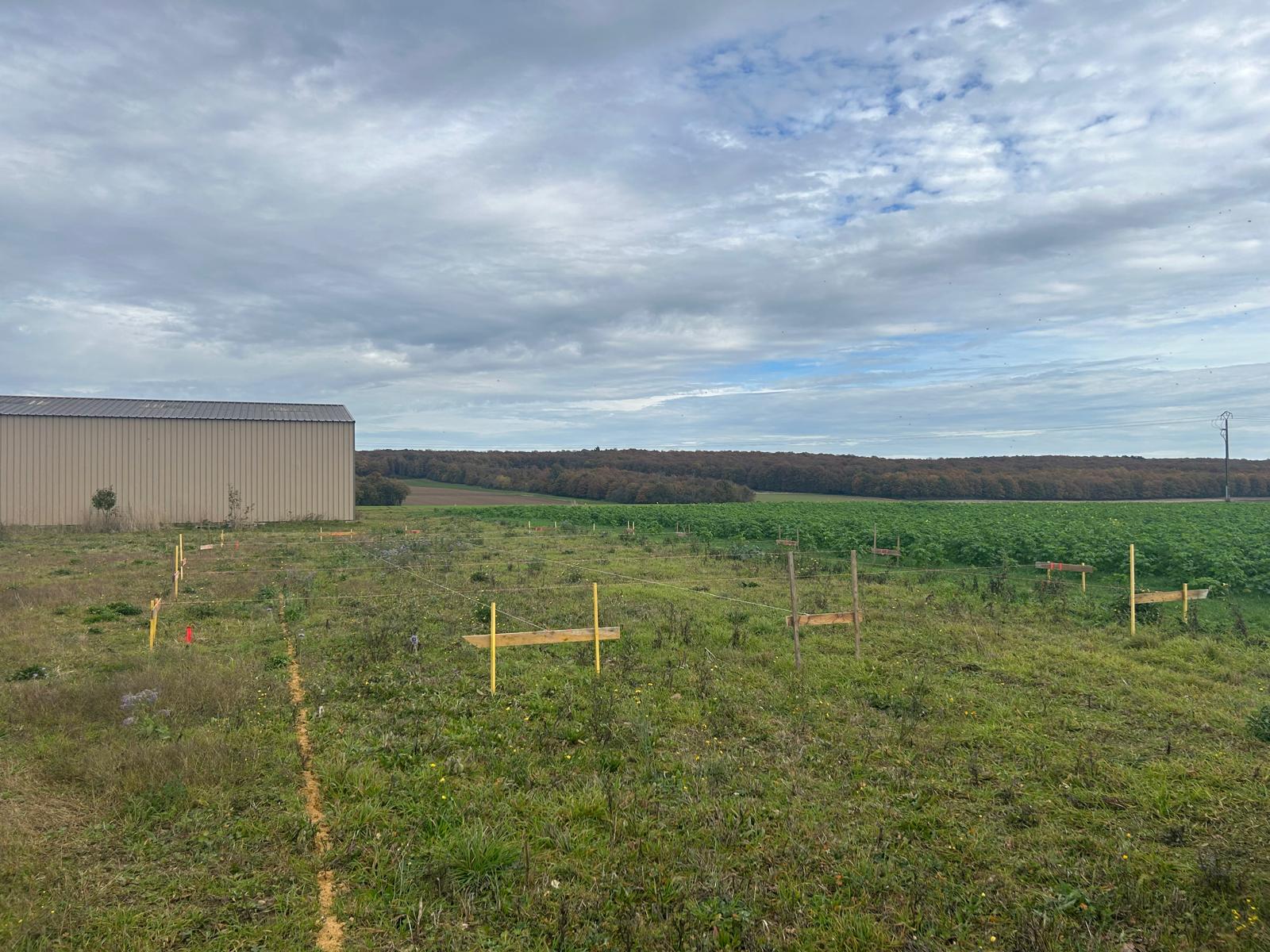 Bientot un nouveau pavillon à SENANTES 28