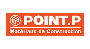 Point P
